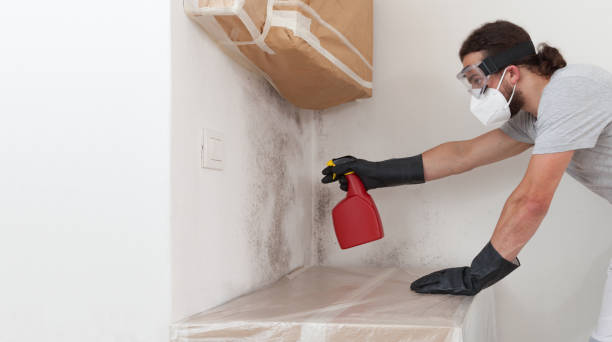 Professional Mold Inspection And Testing technician working in Olivia, MN
